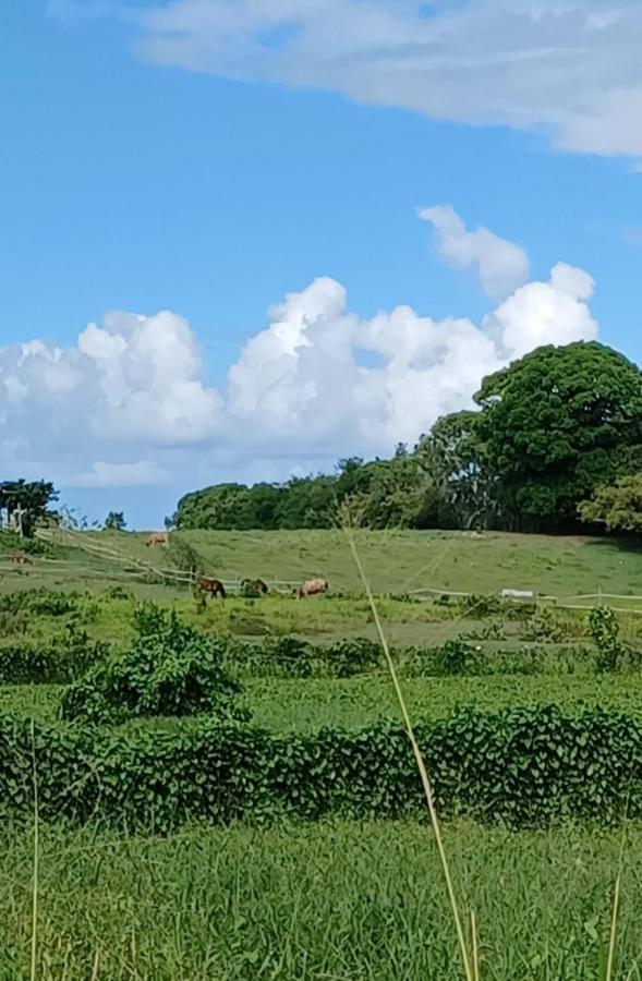 L'Ecrin Vert Sainte-Anne  Esterno foto